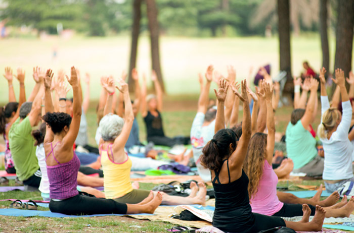Auf einer Wiese mit Bäumen im Hintergrund sitzt eine Gruppe von 20 Frauen auf Yoga-Matten, alle strecken die Arme in die Höhe.